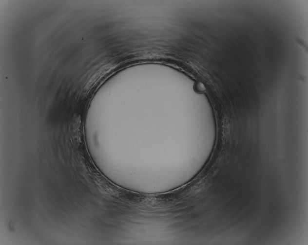 X0000100491265200807031908