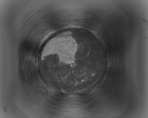 X0000100491266200807031908