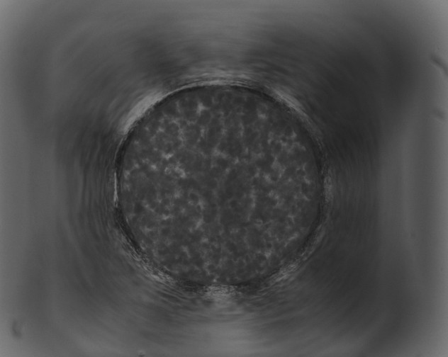 X0000100491267200807031908