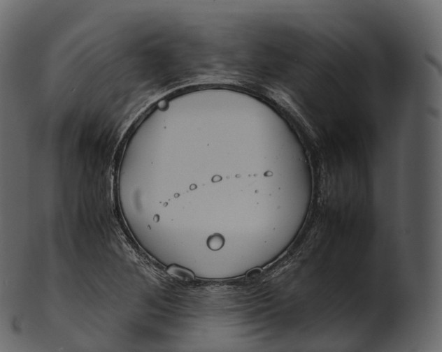 X0000100491268200807031908