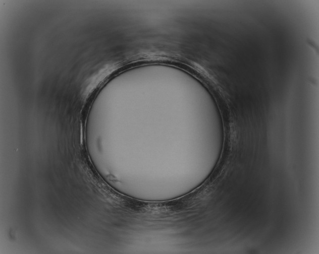 X0000100491269200807031908