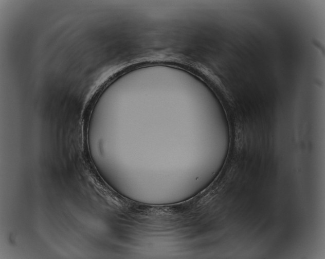 X0000100491270200807031908