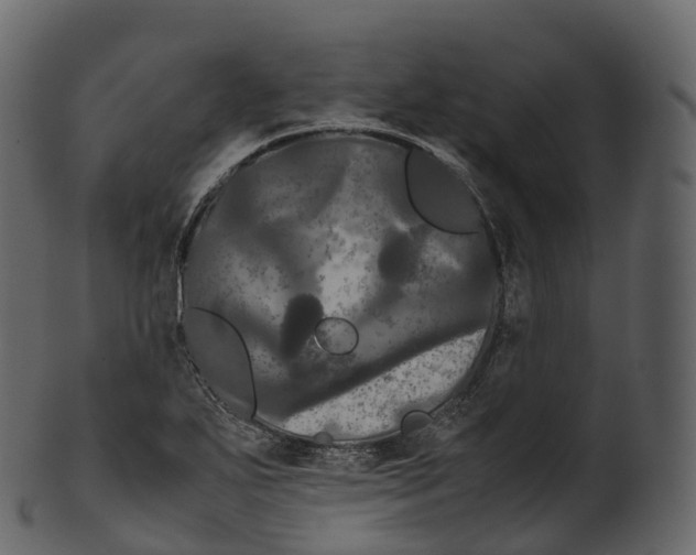 X0000100491271200807031908