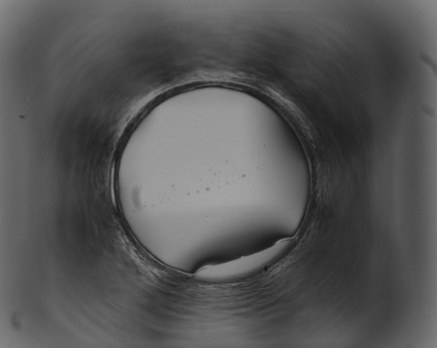 X0000100491272200807031908