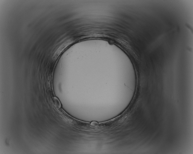 X0000100491273200807031908