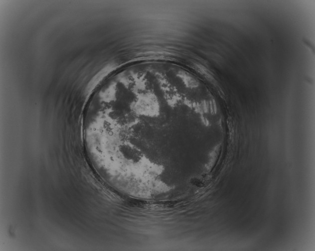 X0000100491275200807031907