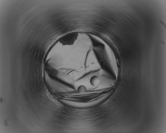 X0000100491276200807031907