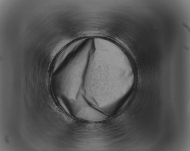 X0000100491277200807031907