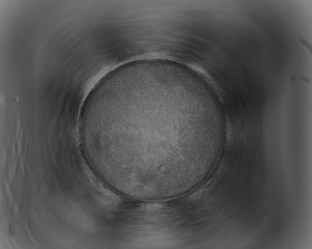 X0000100491278200807031907