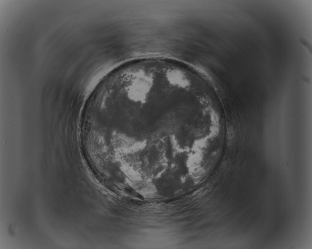 X0000100491279200807031907