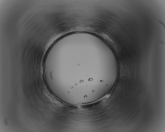 X0000100491280200807031907