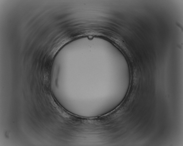 X0000100491281200807031907