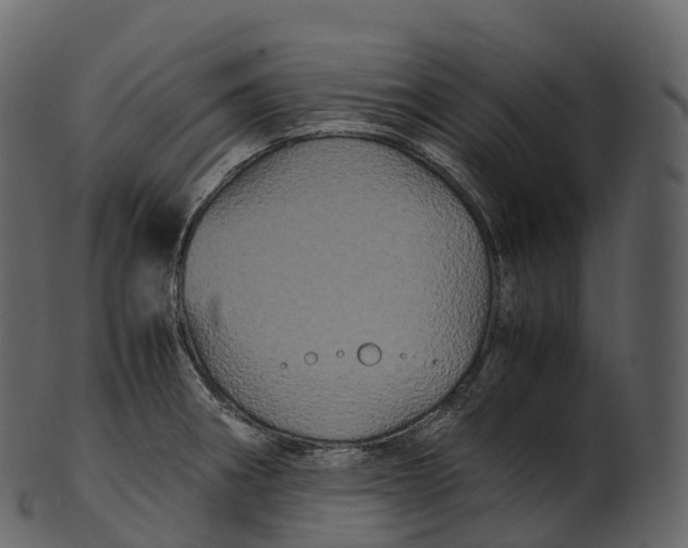 X0000100491282200807031907