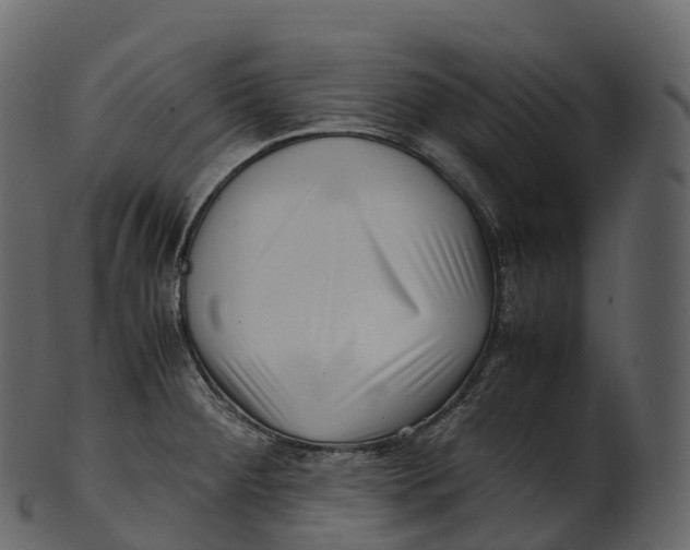 X0000100491284200807031907