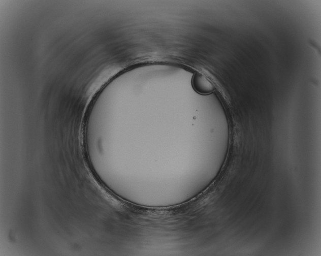 X0000100491285200807031907