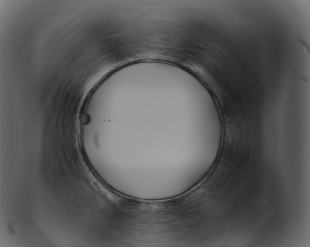 X0000100491286200807031907