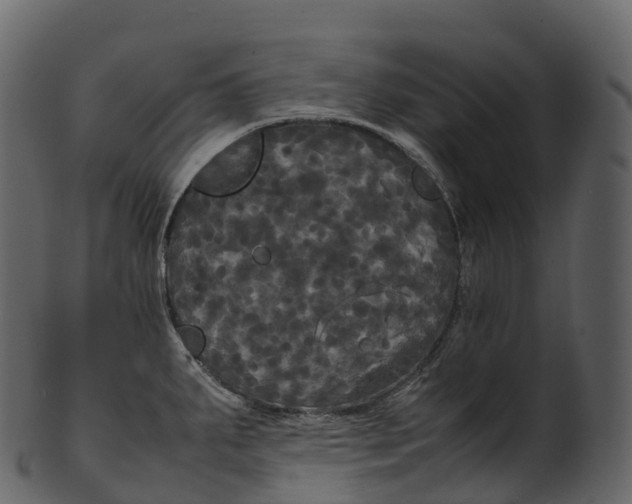 X0000100491287200807031907