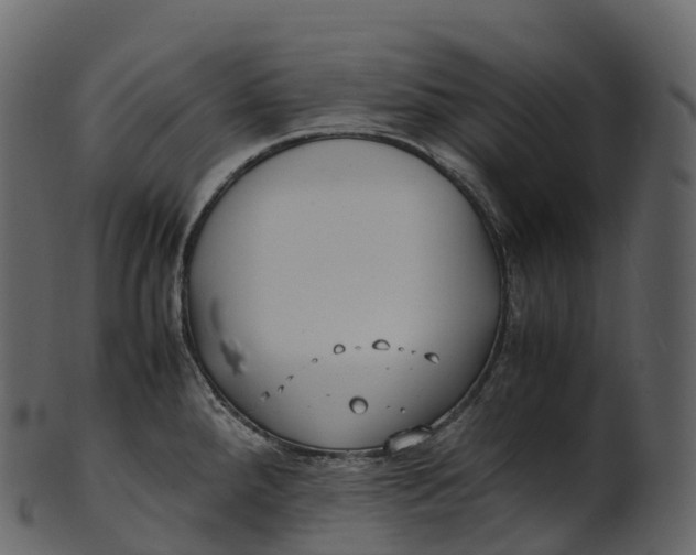 X0000100491288200807031907