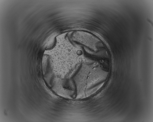 X0000100491289200807031907