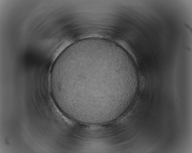 X0000100491290200807031907