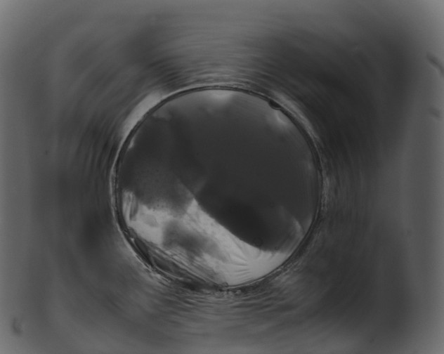 X0000100491291200807031907