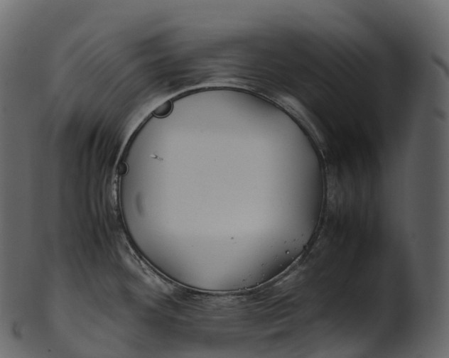 X0000100491292200807031907