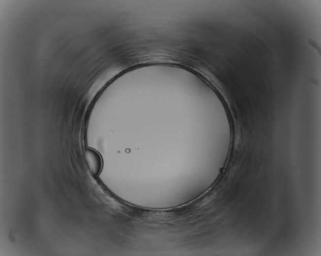 X0000100491293200807031907