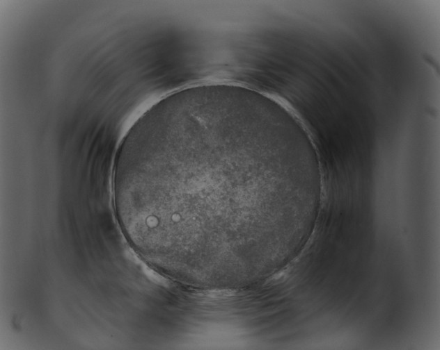 X0000100491294200807031907