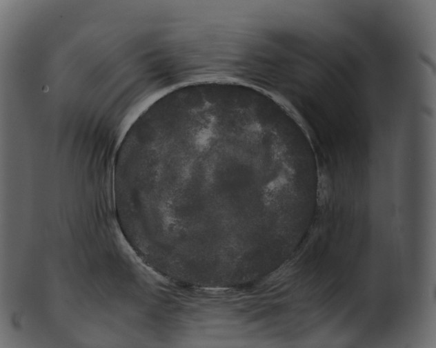 X0000100491295200807031907