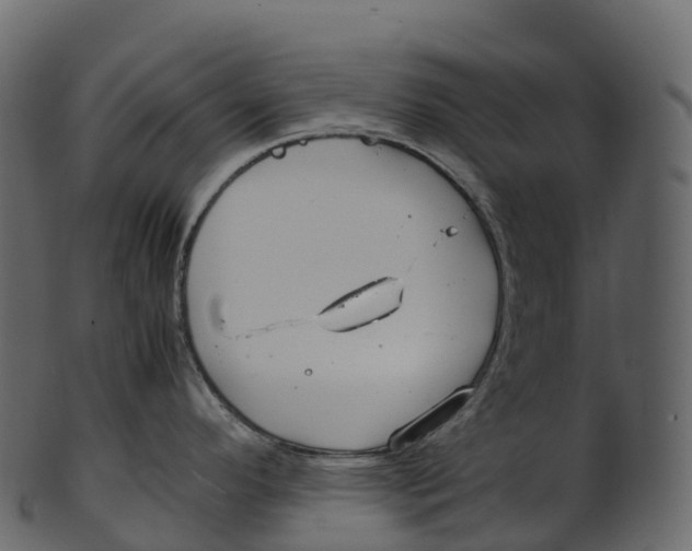 X0000100491296200807031907