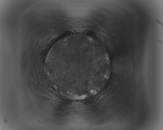 X0000100491297200807031906