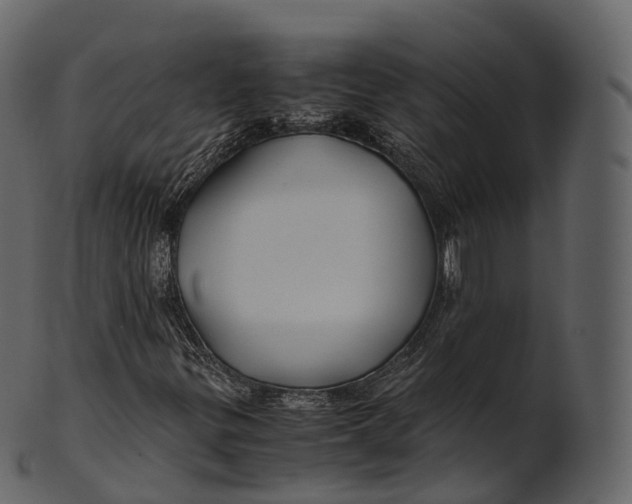 X0000100491299200807031906