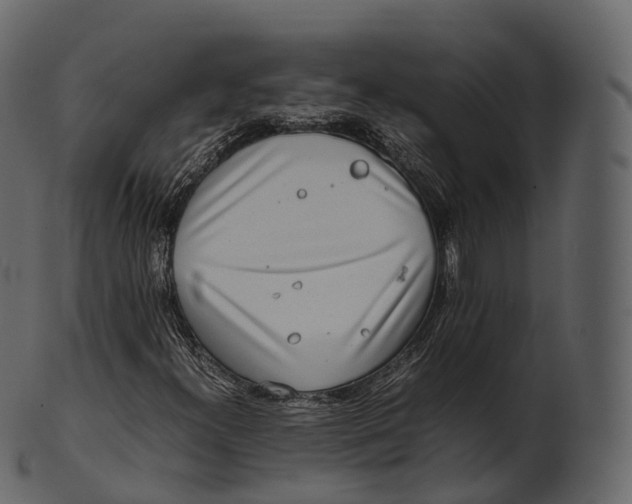 X0000100491300200807031906