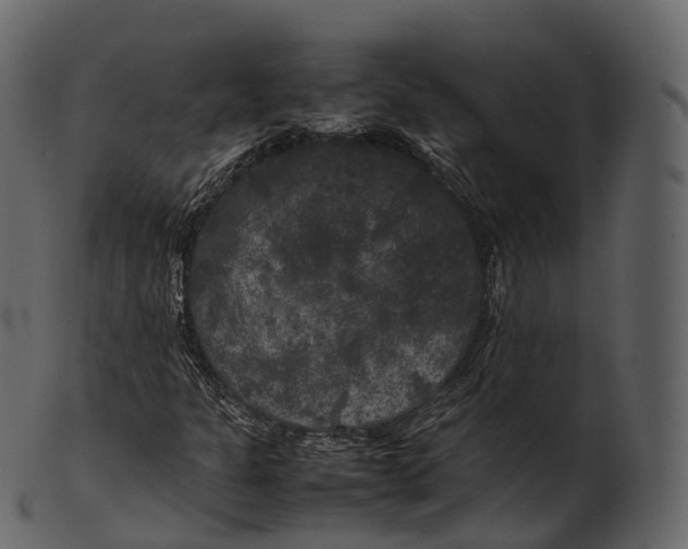 X0000100491301200807031906