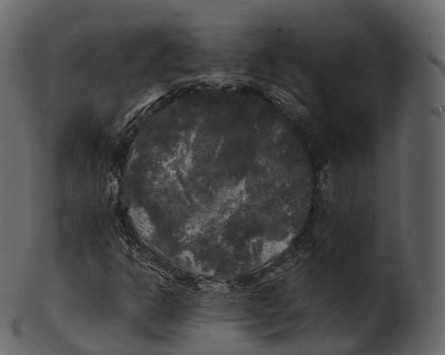 X0000100491302200807031906