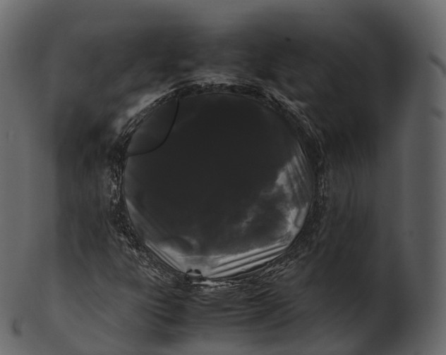 X0000100491303200807031906