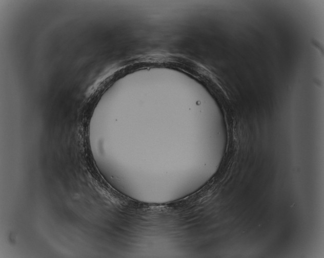 X0000100491304200807031906