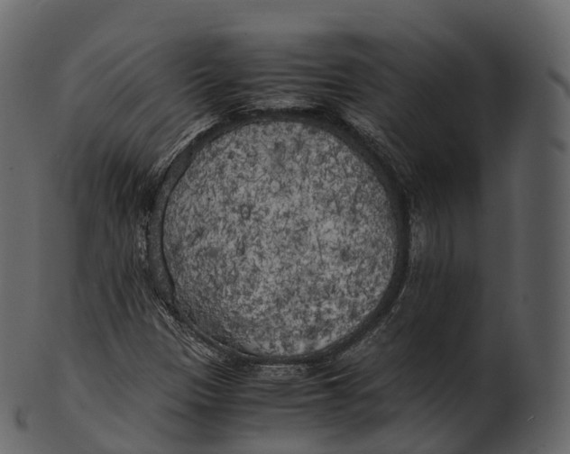 X0000100491305200807031906