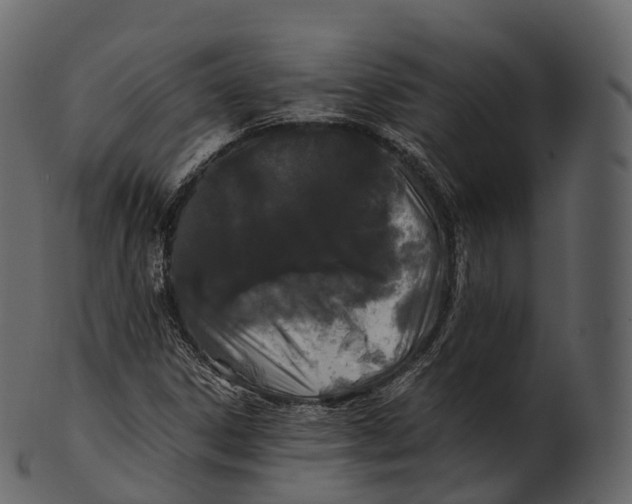 X0000100491306200807031906