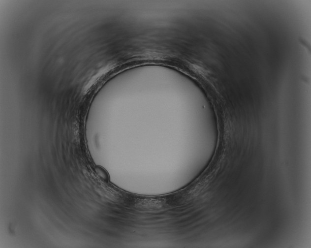 X0000100491307200807031906