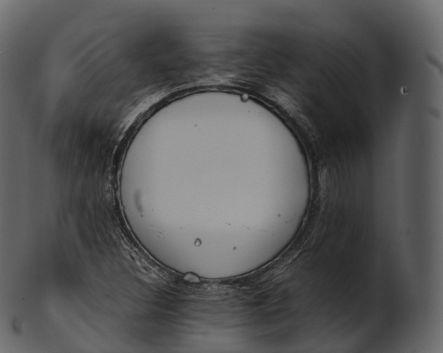 X0000100491308200807031907