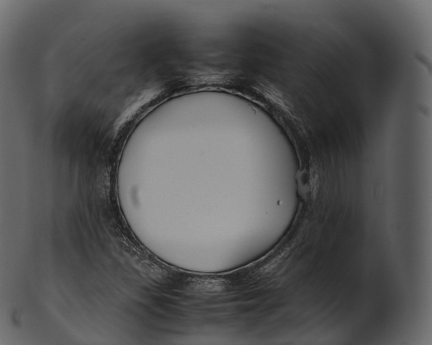 X0000100491309200807031907