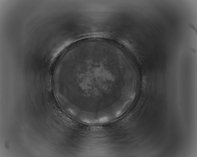 X0000100491310200807031907