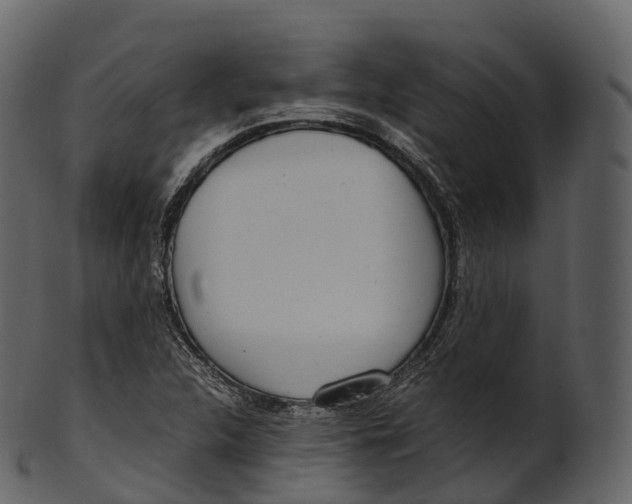 X0000100491312200807031907