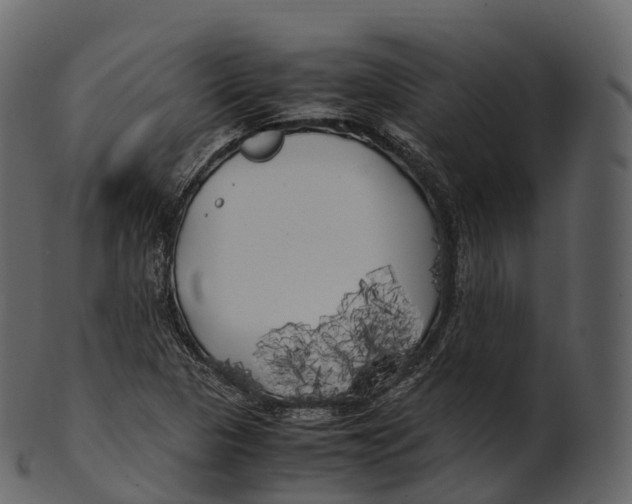 X0000100491313200807031907