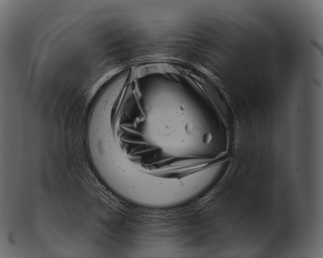 X0000100491314200807031907