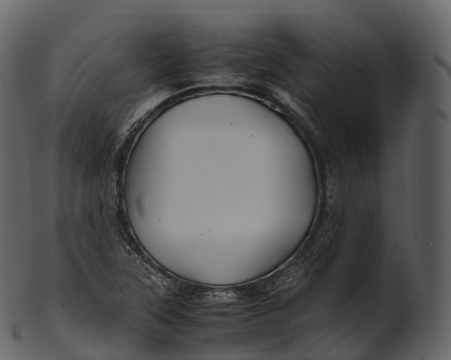 X0000100491315200807031907