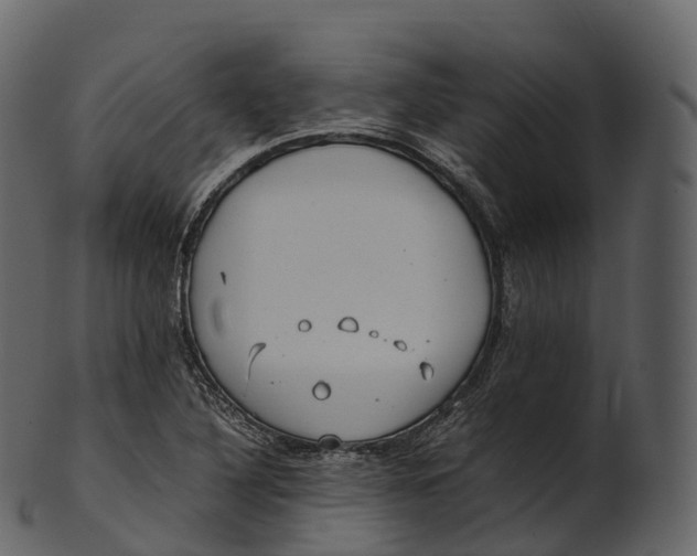 X0000100491316200807031907