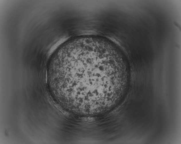 X0000100491317200807031907