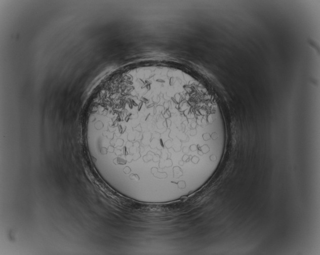 X0000100491318200807031907